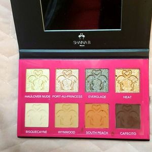 Makeup Shaina b Miami Eye shadow palette